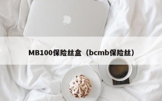 MB100保险丝盒（bcmb保险丝）